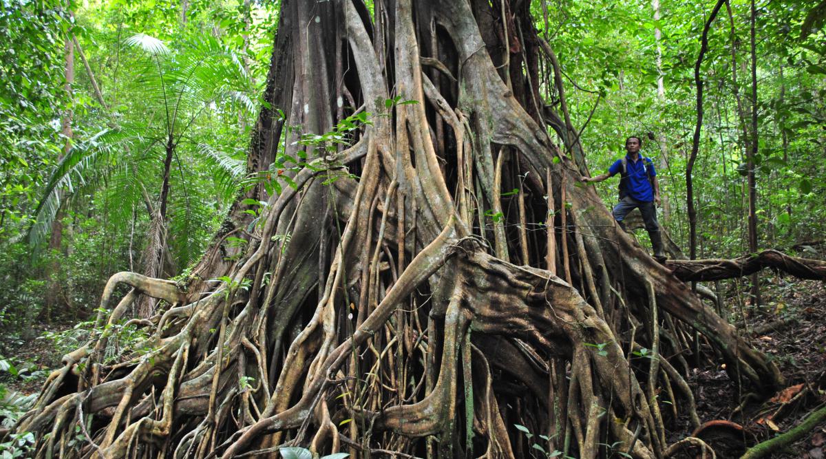 image belitung #3