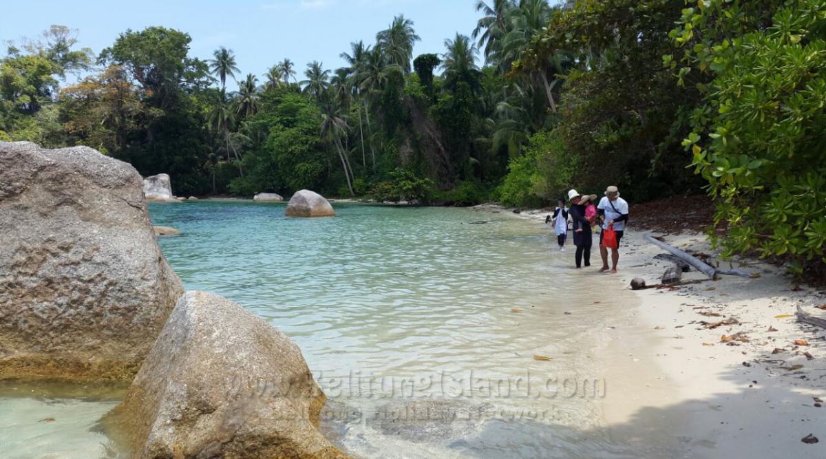 日程 #2 - 目的地 Pulau Burung| Burung Island|鸟岛|جزيرة الطيور