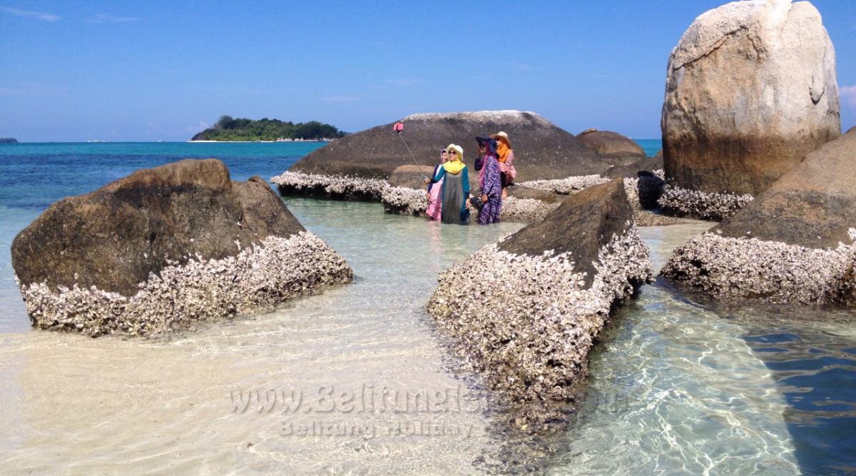 Jadwal Hari #2 - Destinasi Pulau Burung| Burung Island|鸟岛|جزيرة الطيور