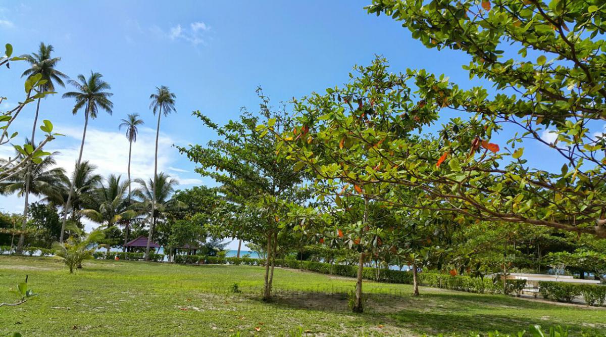 belitung destination foto 1