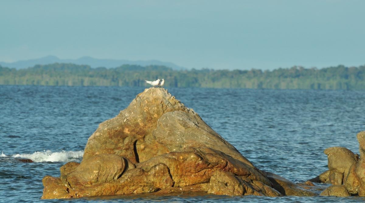 belitung destination foto 3
