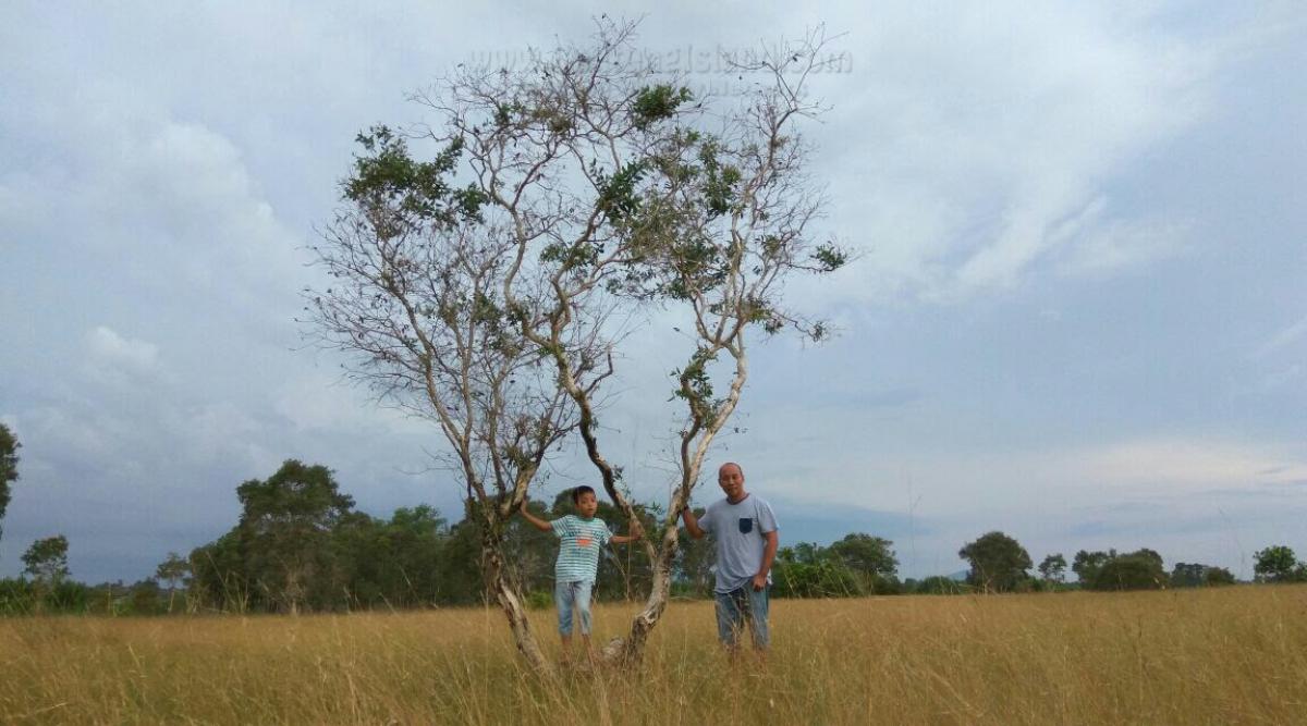 belitung destination foto 0