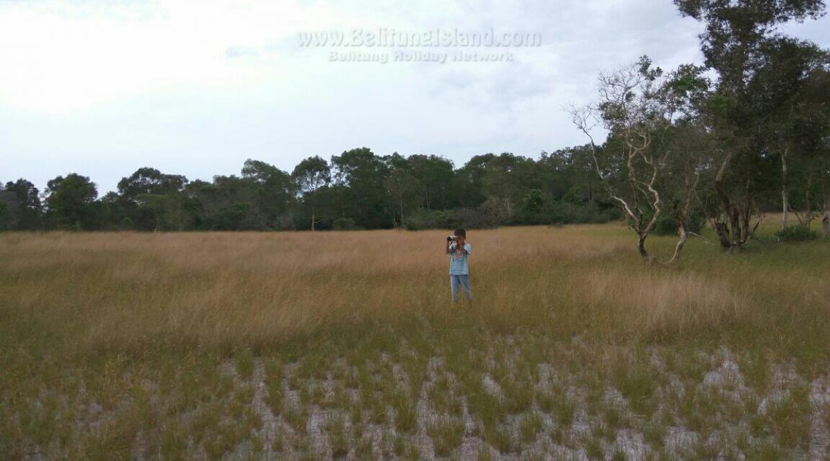 belitung destination foto 1