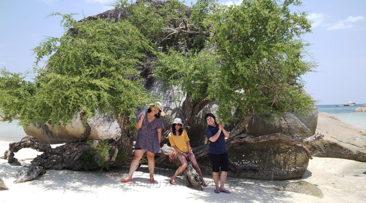 Jadwal Hari #1 - Destinasi Tanjung Tinggi| Tanjung Tinggi|丹戎丁宜|تانجونج تينجي