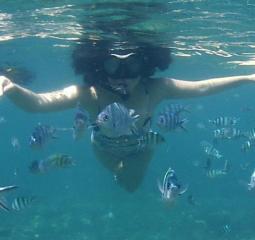 Belitung 77