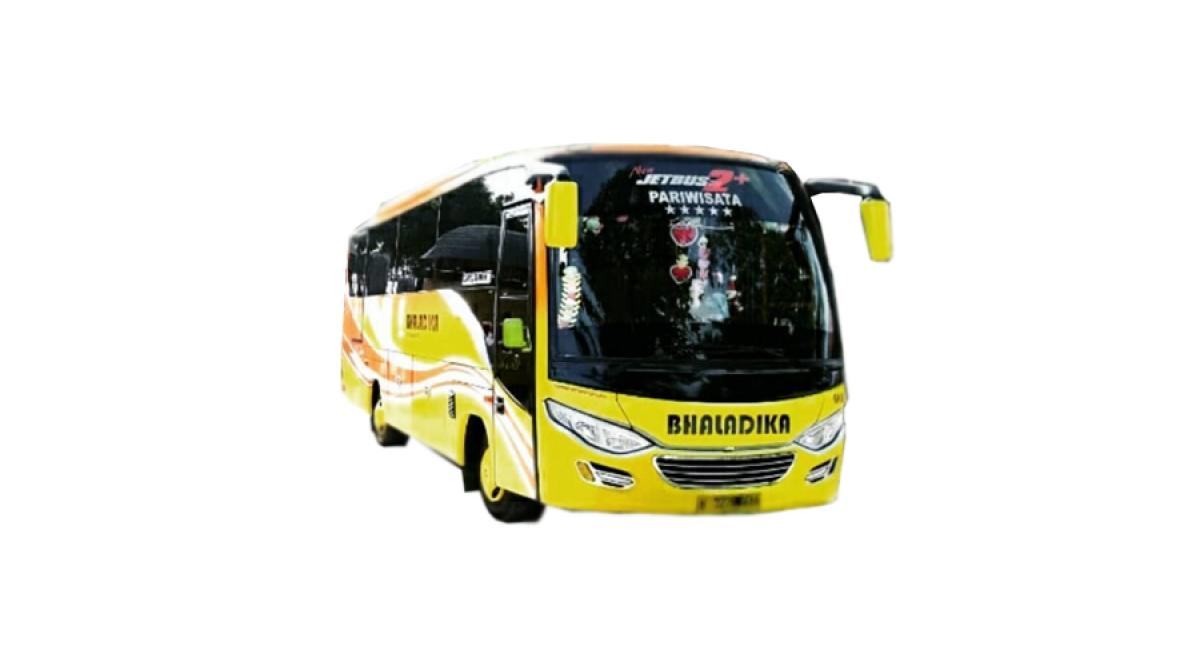Bus 33 Seats