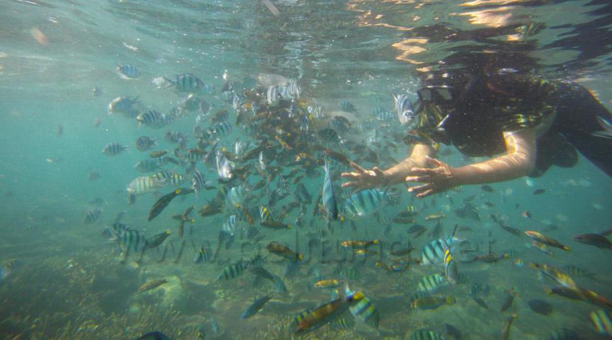 Diving Set