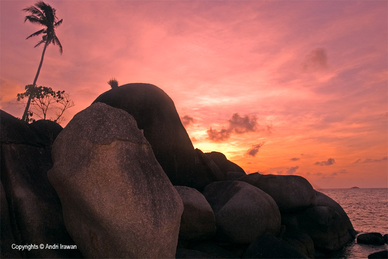 Fotografer:  Andri Irawan 8
