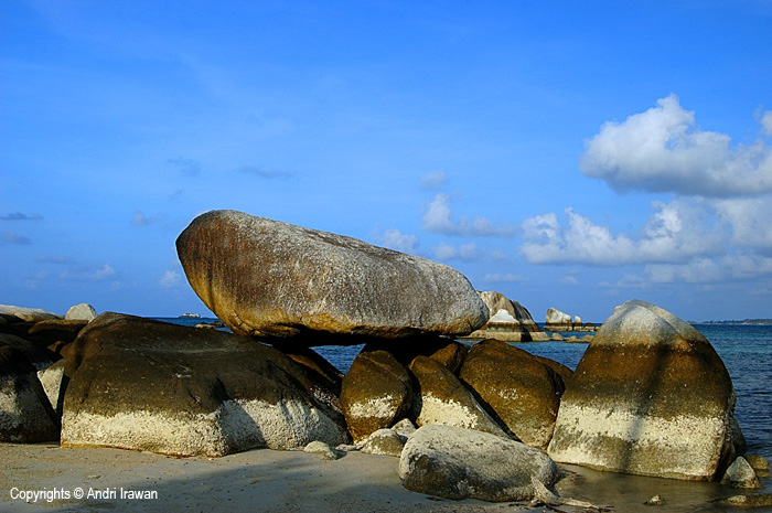 Fotografer:  Andri Irawan 9