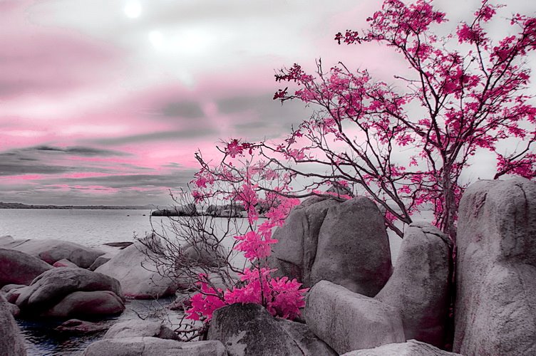 Fotografer:  Herman Sapta Aji 9