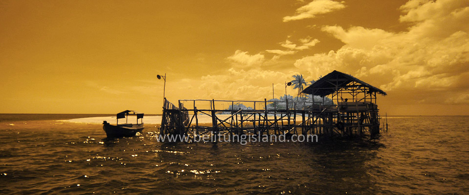 Fotografer:  Irfan A. Tachrir 19