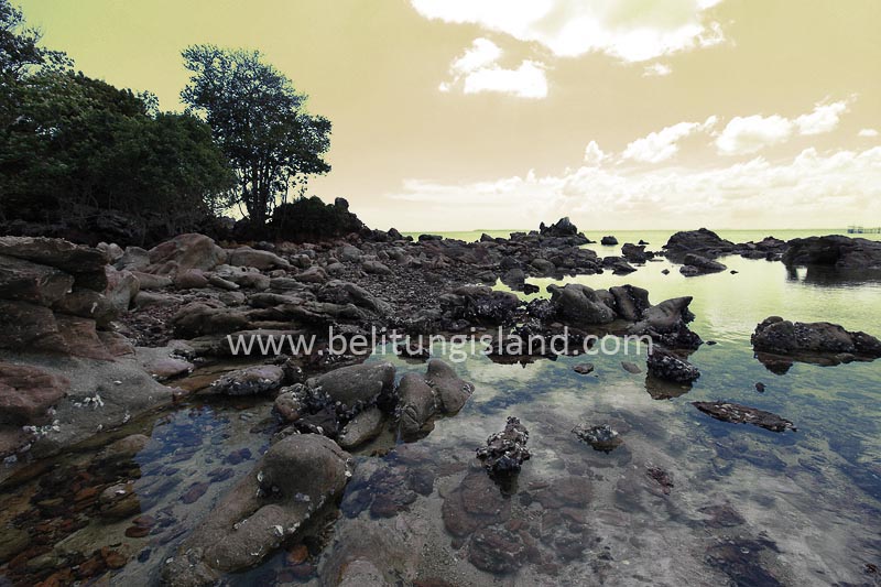 Fotografer:  Irfan A. Tachrir 36