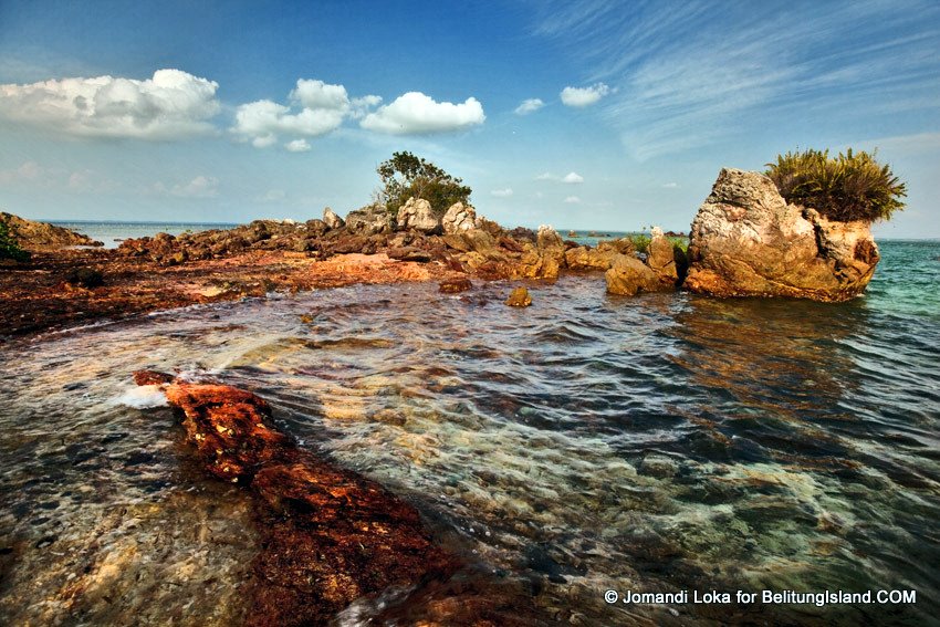 Fotografer:  Jomandi Loka 23