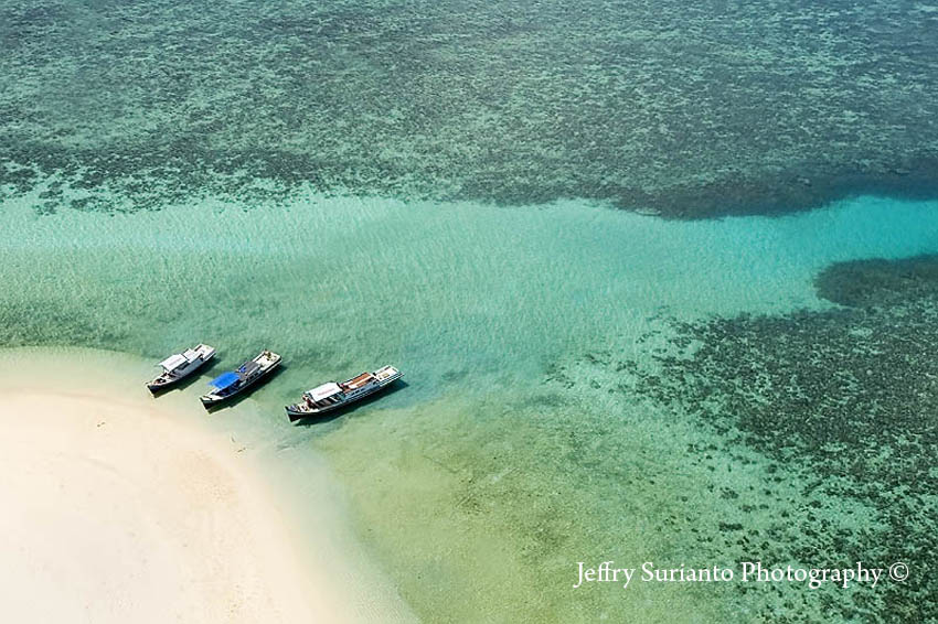 Fotografer:  Jeffry Surianto 14