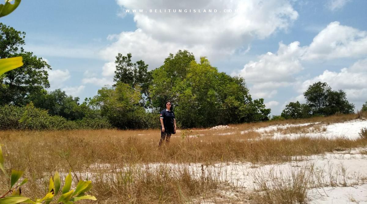 belitung image